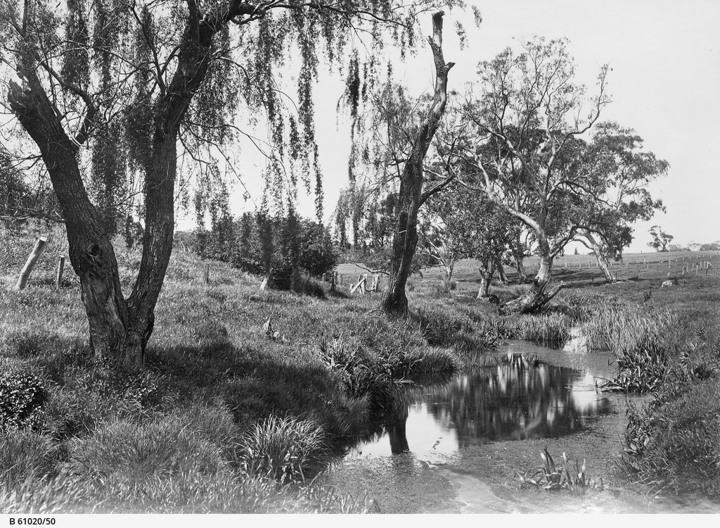 Mount Barker Springs Photograph State Library of South Australia